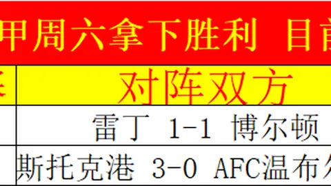 德国足球巨星慈善赛遭罚离场 愤激喷水泄怒引争议